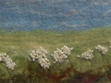 Summer Meadow.jpg
